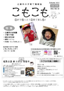 vol 33